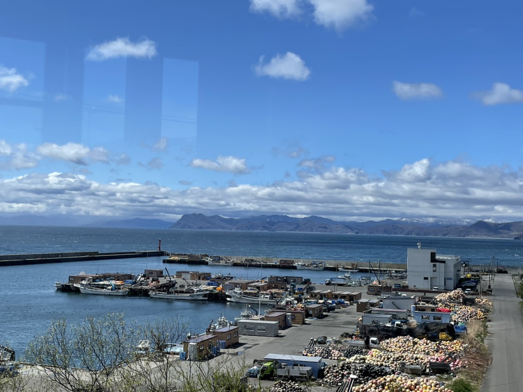 投稿された画像