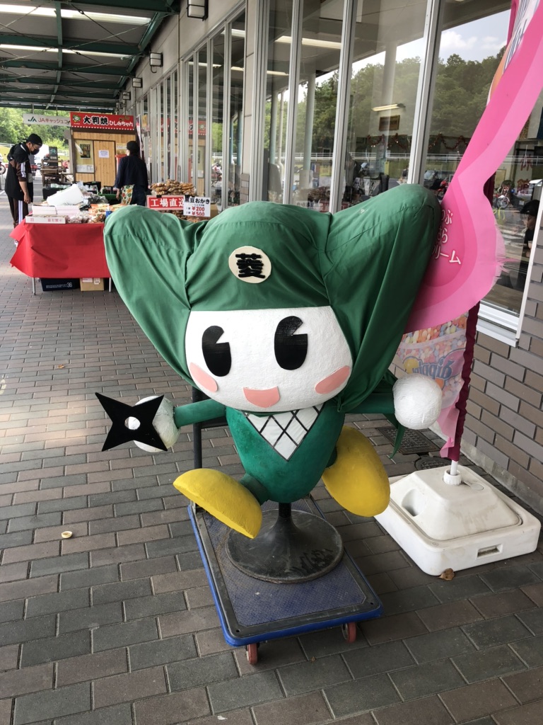 投稿された画像