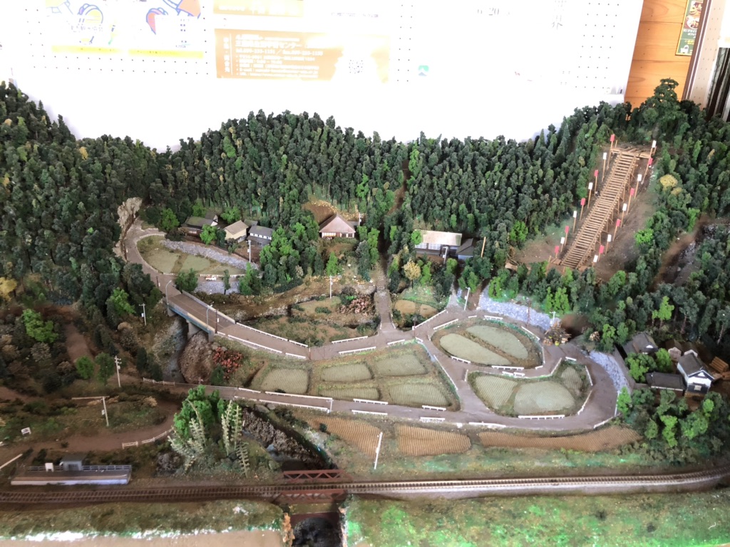 投稿された画像