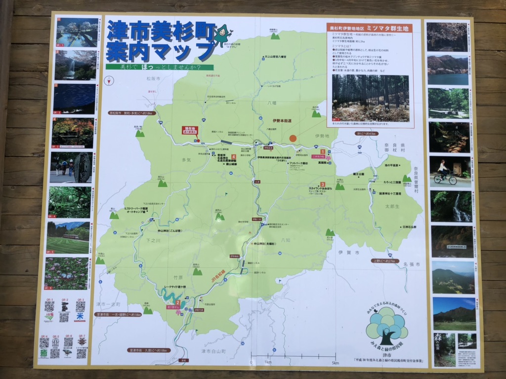 投稿された画像