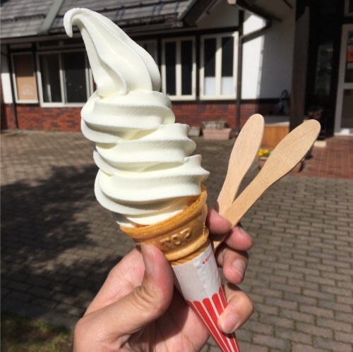 投稿された画像