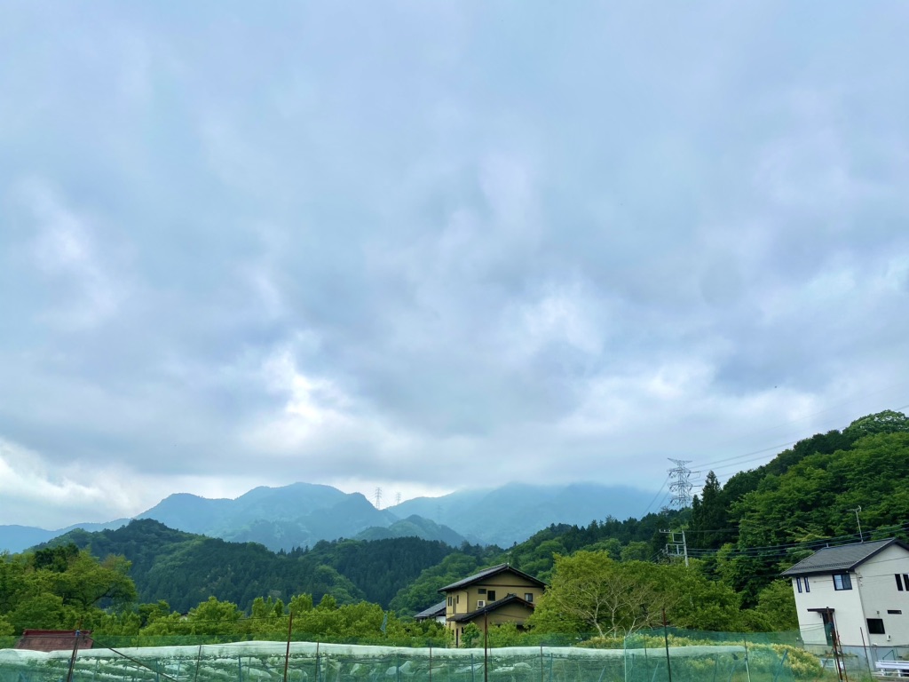 投稿された画像