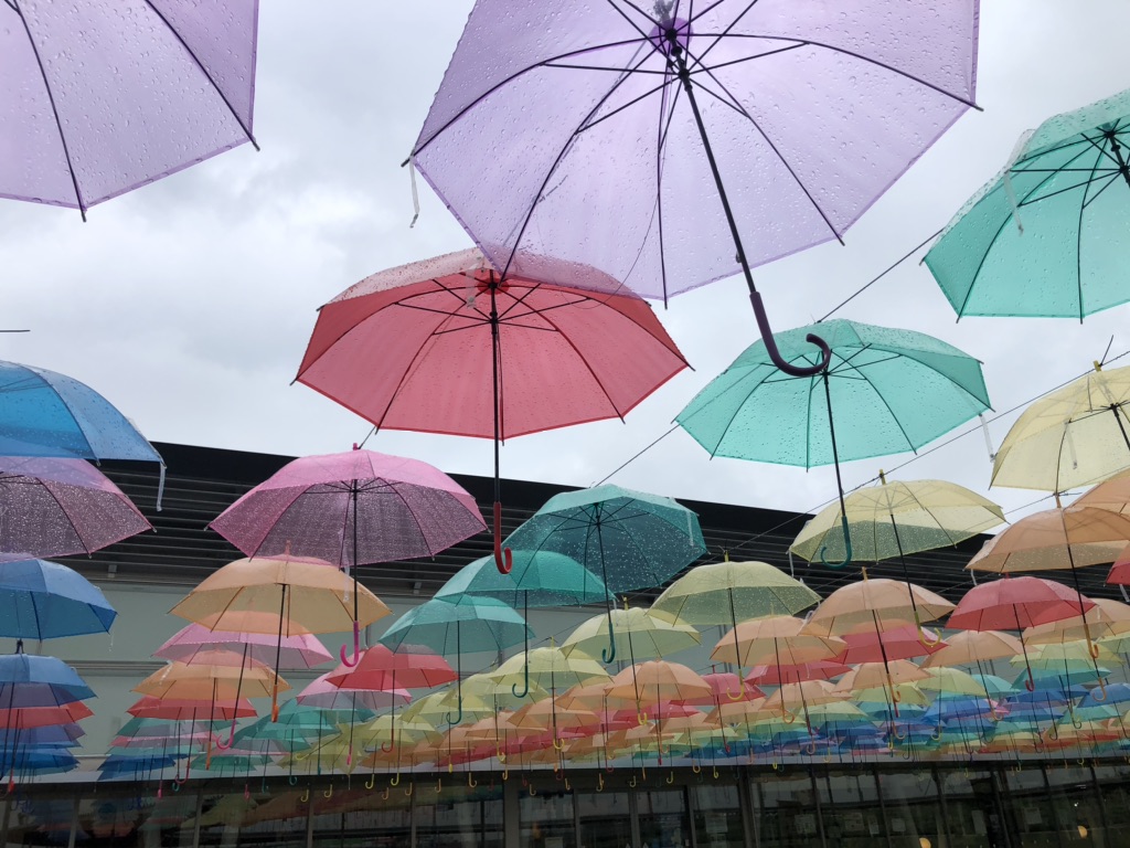 投稿された画像