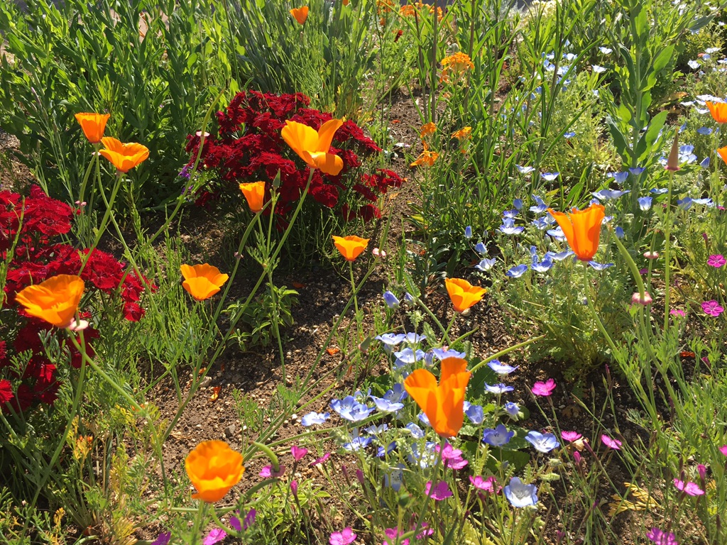 投稿された画像