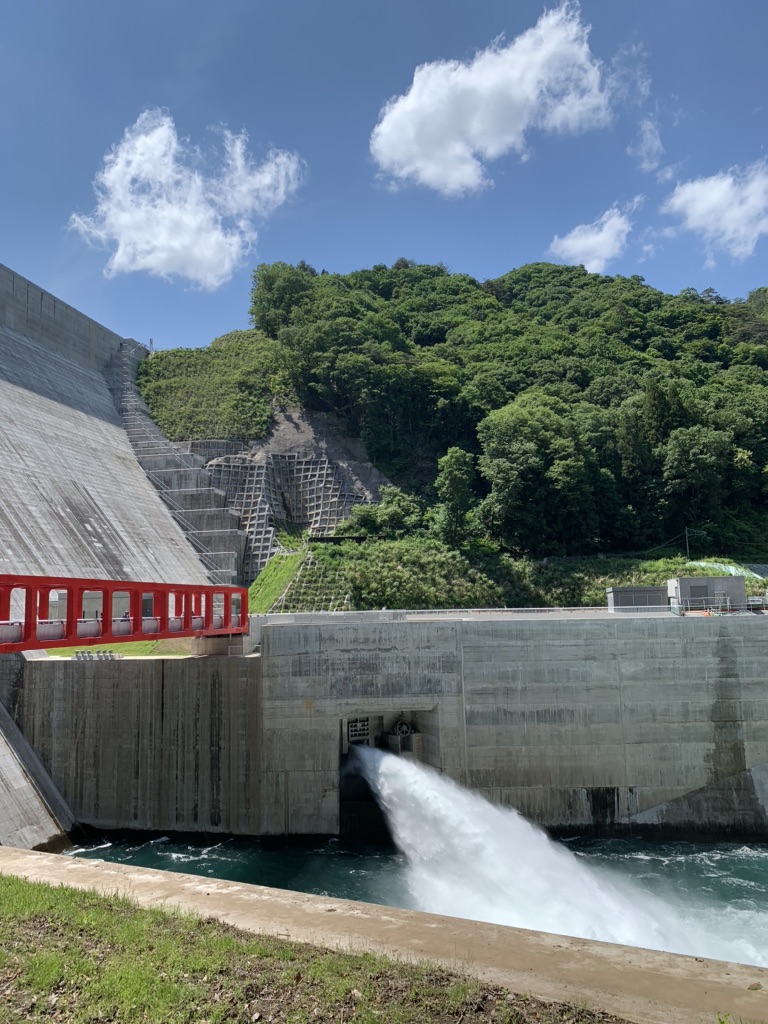 投稿された画像