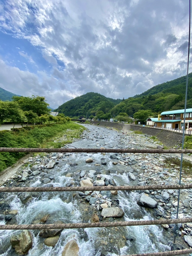 投稿された画像