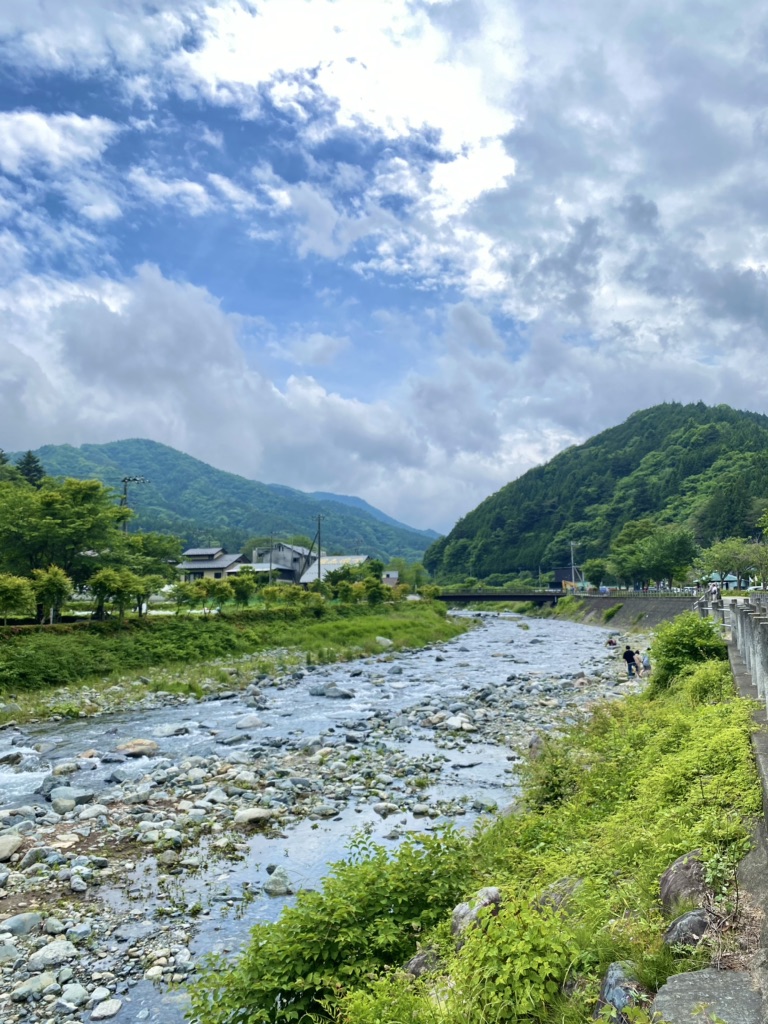 投稿された画像