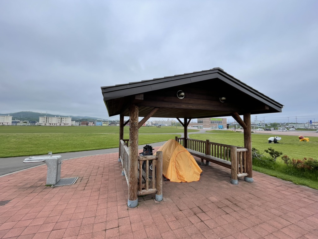 投稿された画像