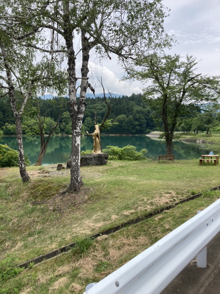 投稿された画像