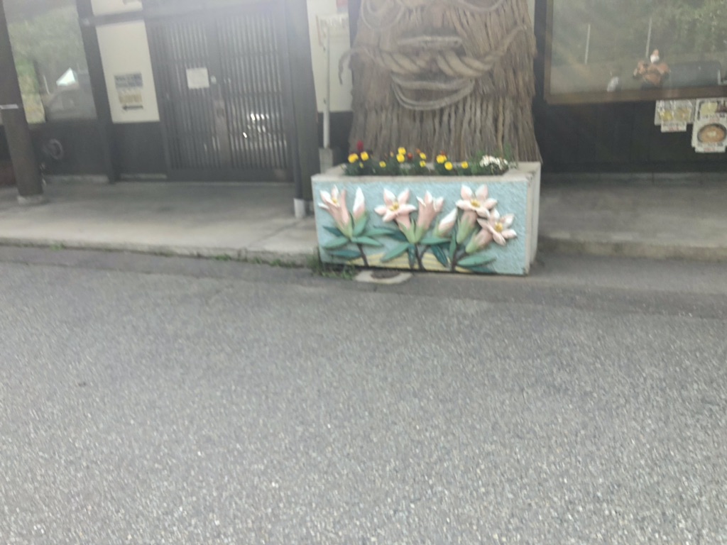投稿された画像