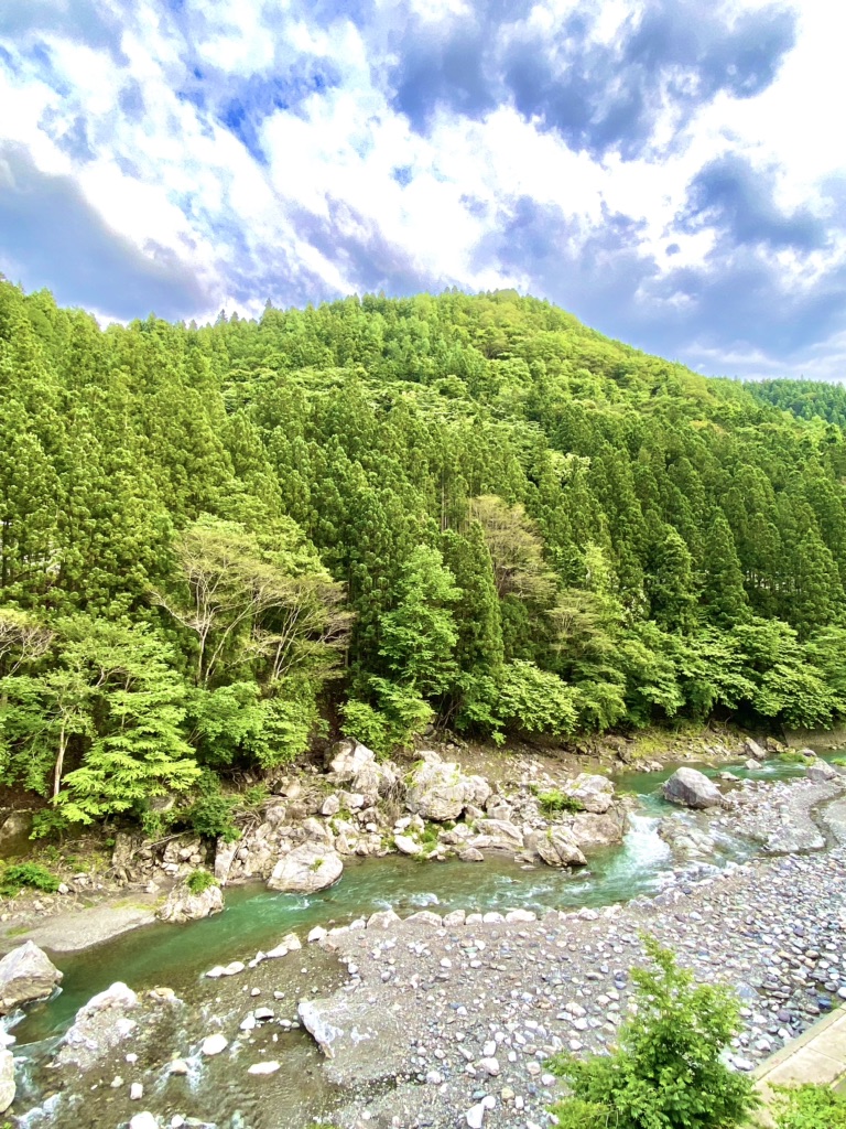 投稿された画像