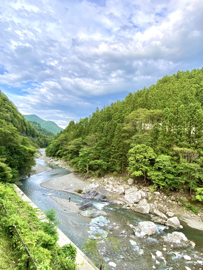 投稿された画像