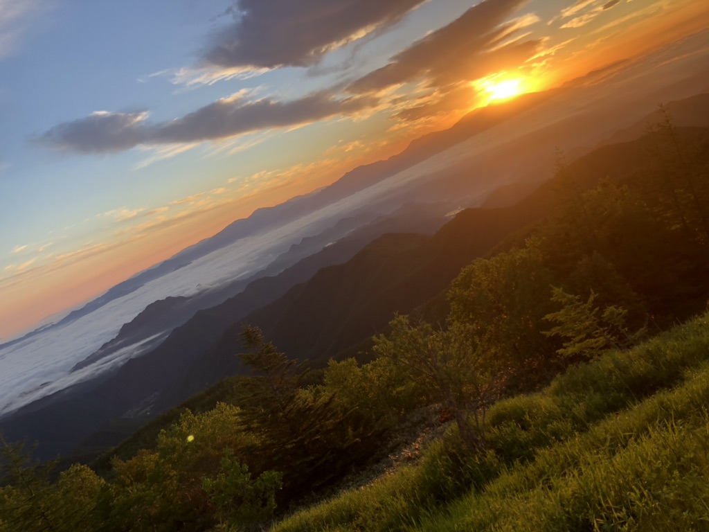 投稿された画像