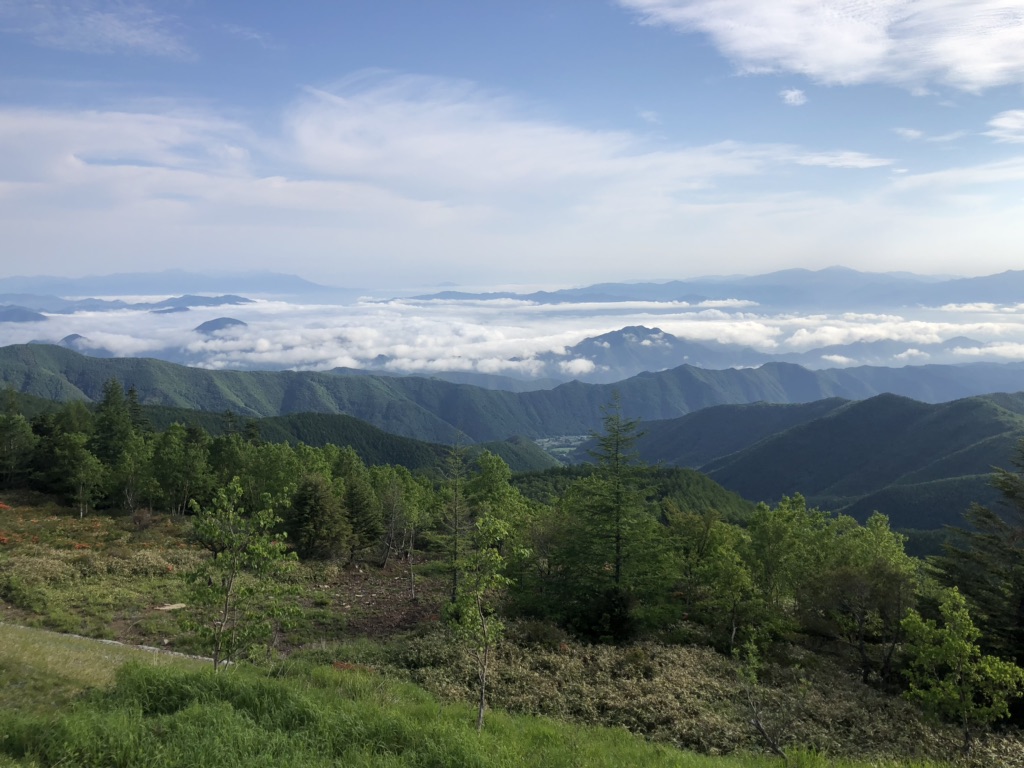 投稿された画像