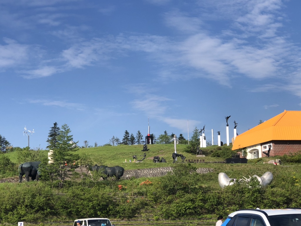 投稿された画像