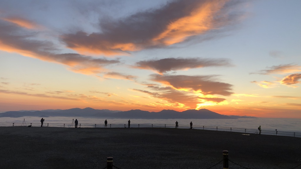 投稿された画像