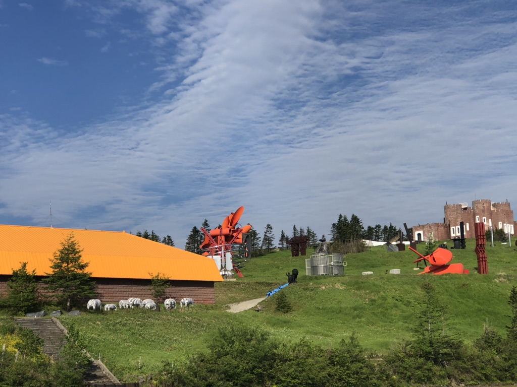 投稿された画像