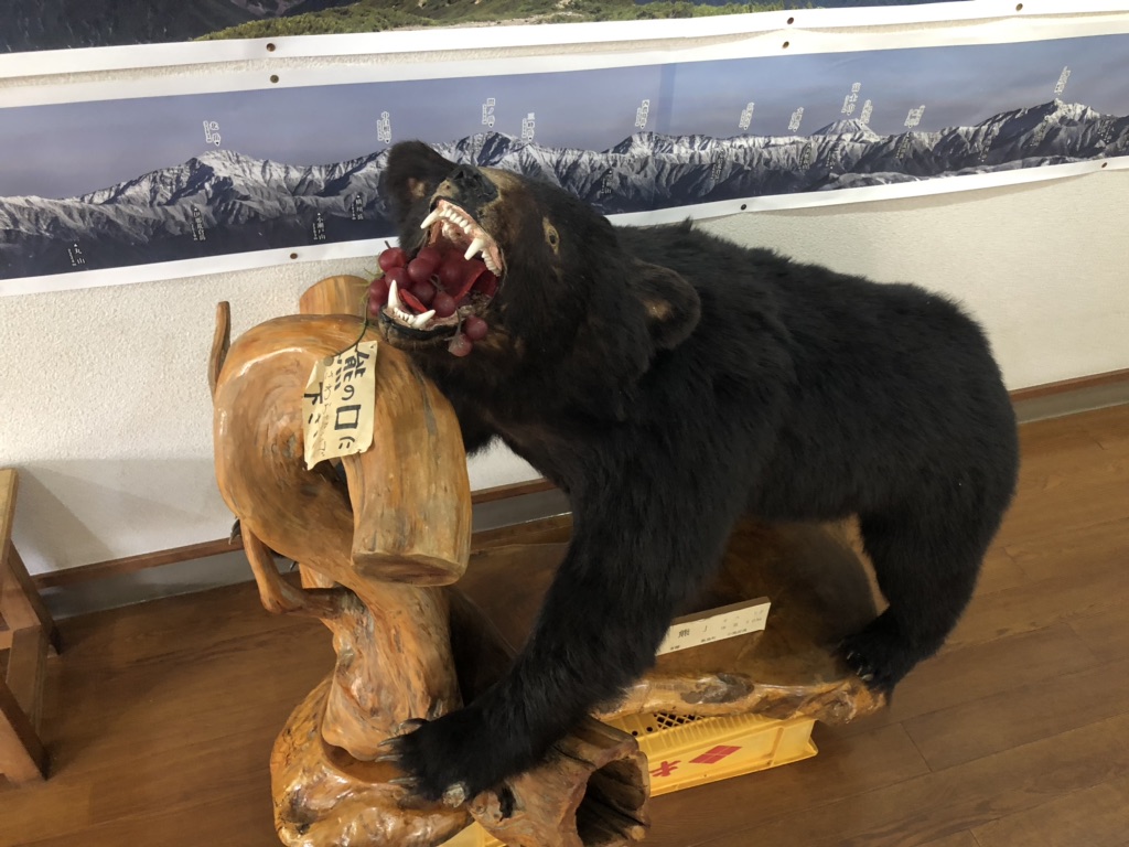 投稿された画像