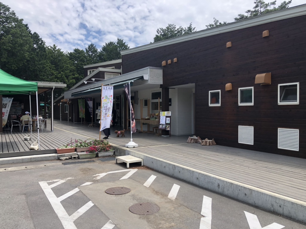 投稿された画像