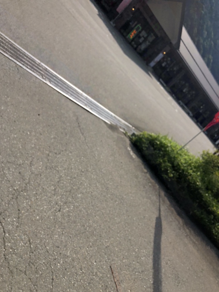 投稿された画像