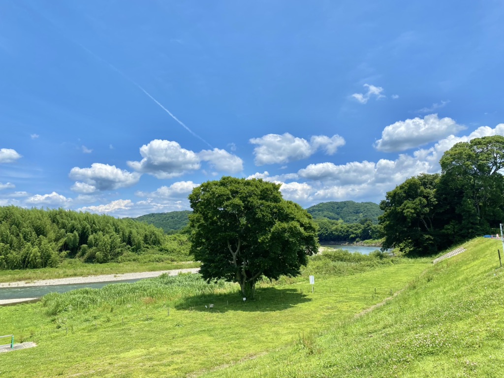 投稿された画像