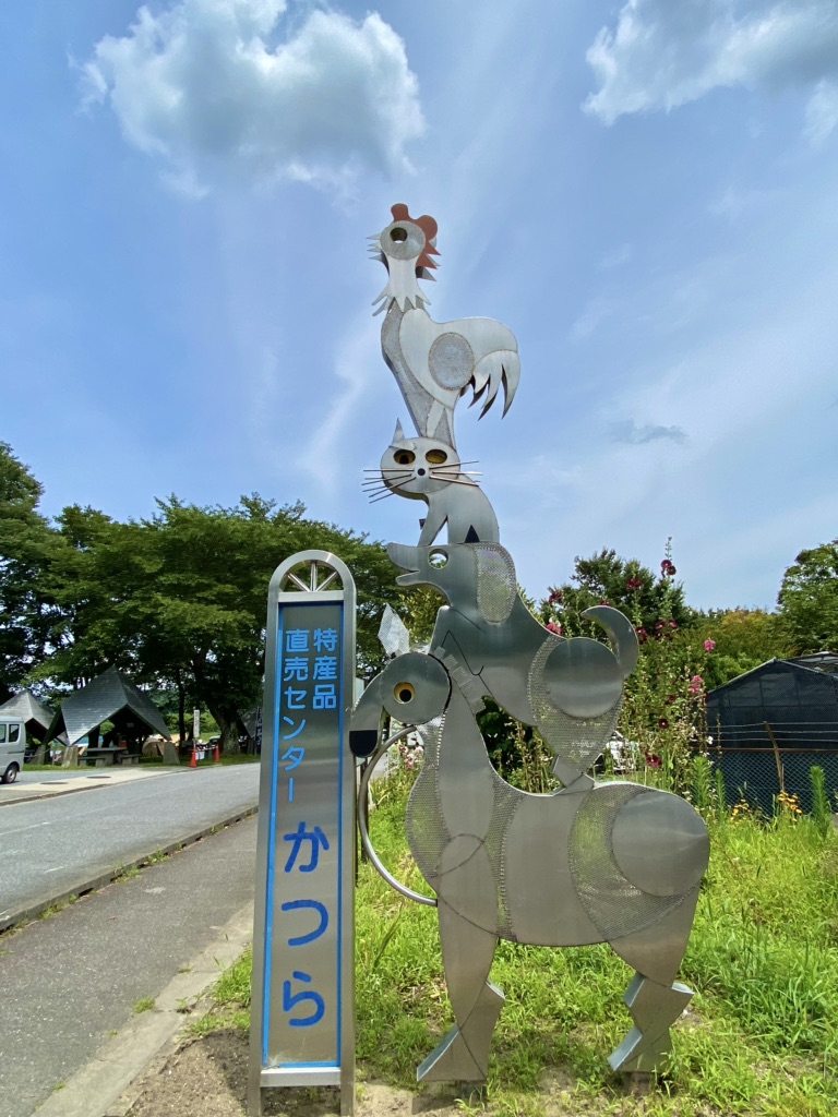 投稿された画像