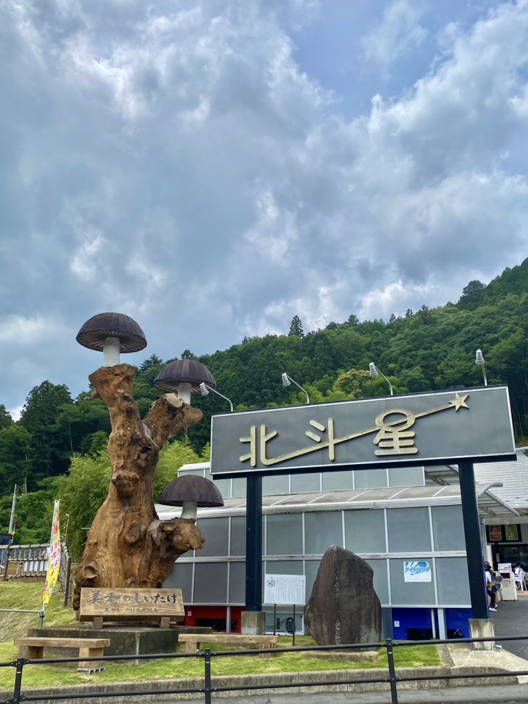 投稿された画像