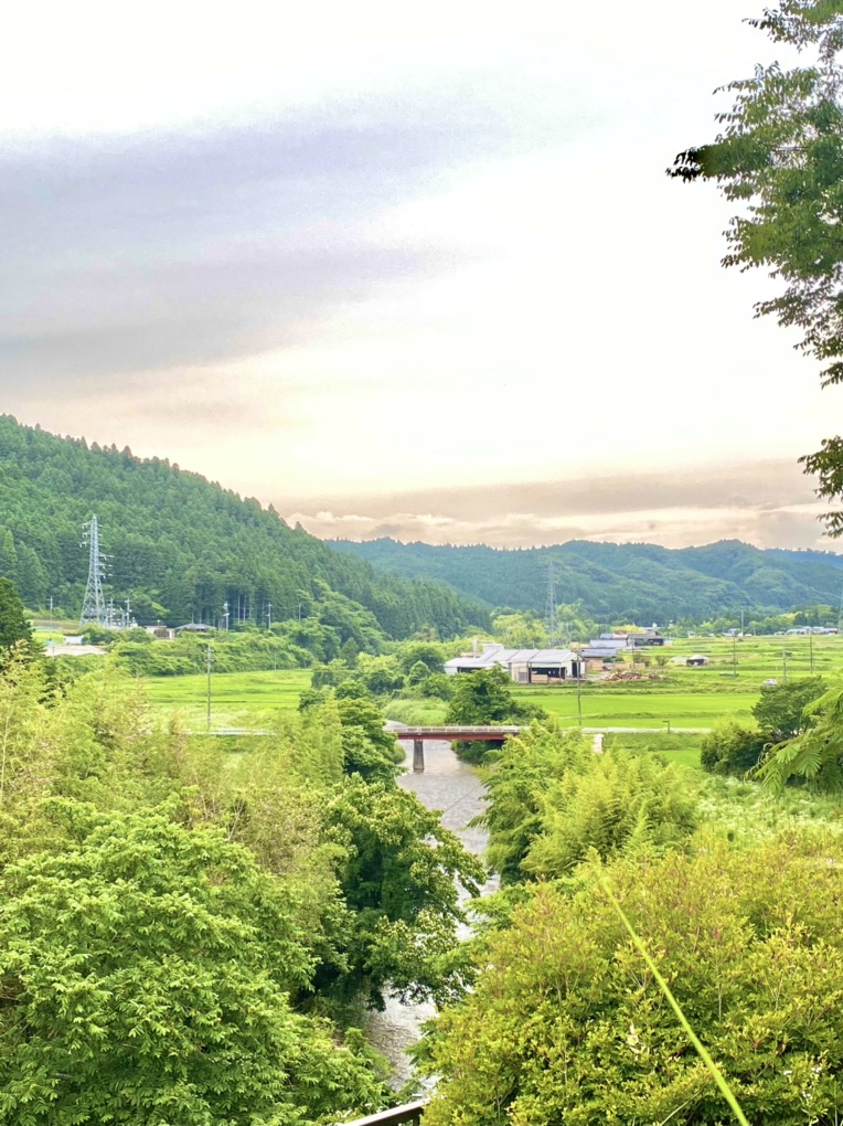 投稿された画像