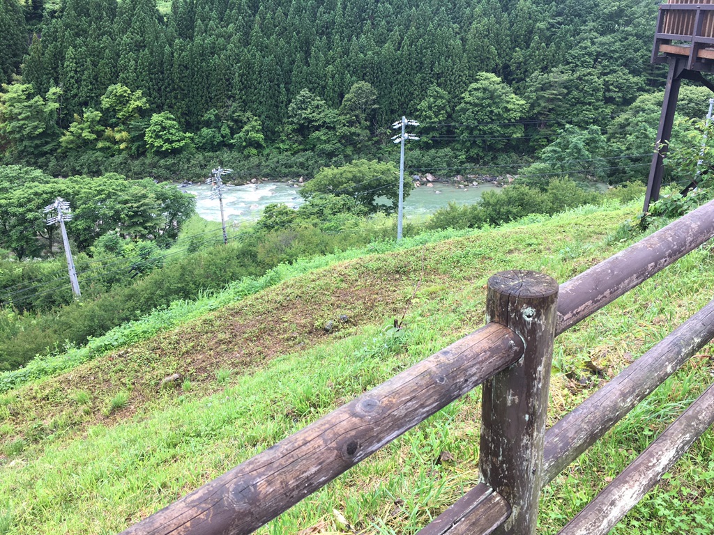 投稿された画像