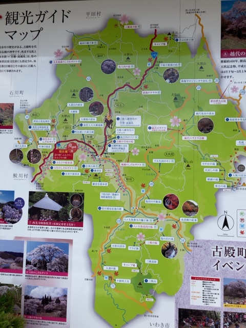 投稿された画像