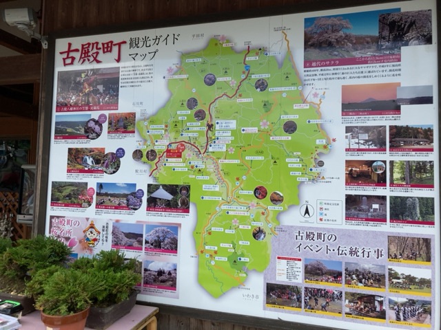 投稿された画像