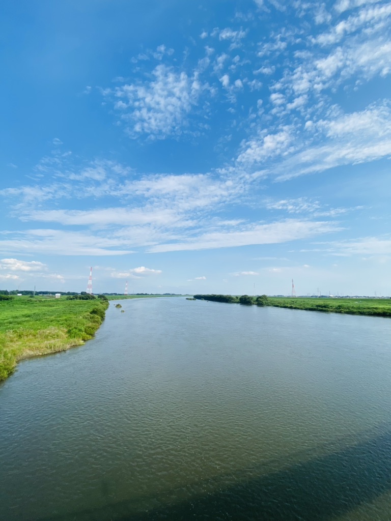 投稿された画像