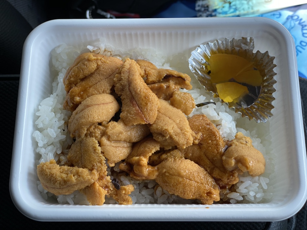 投稿された画像