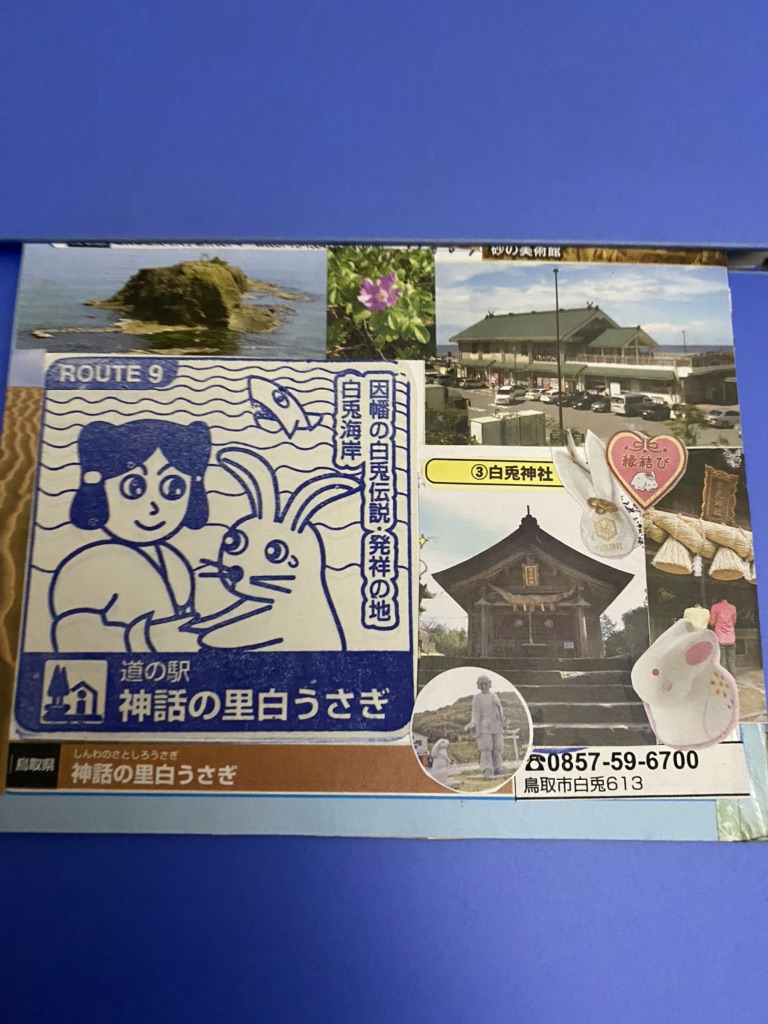 投稿された画像