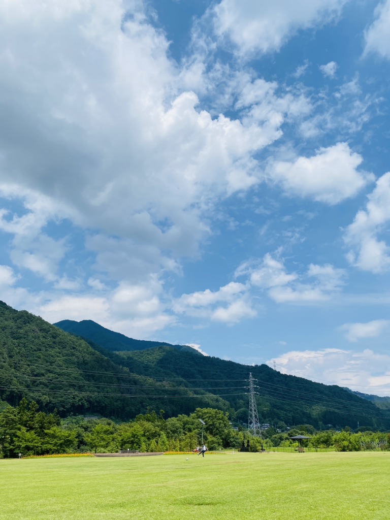 投稿された画像