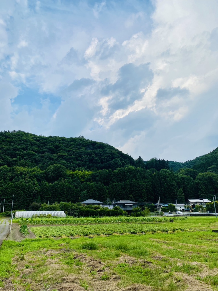 投稿された画像