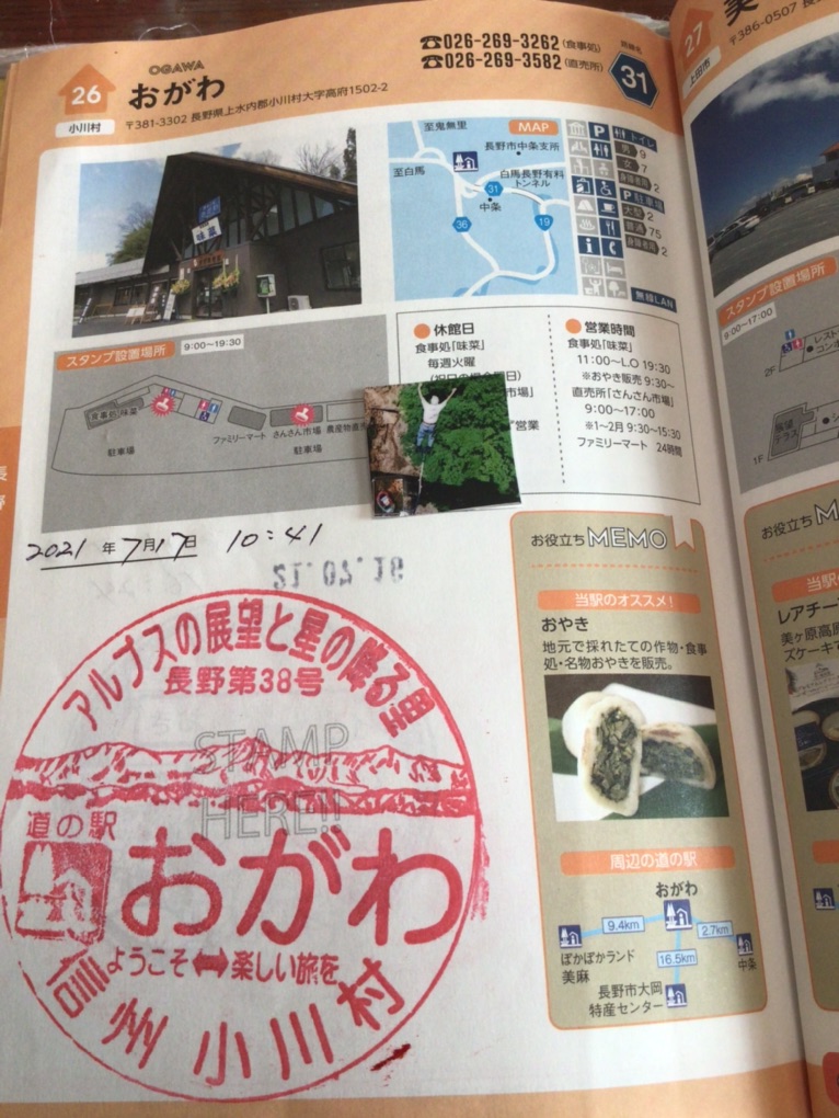 投稿された画像