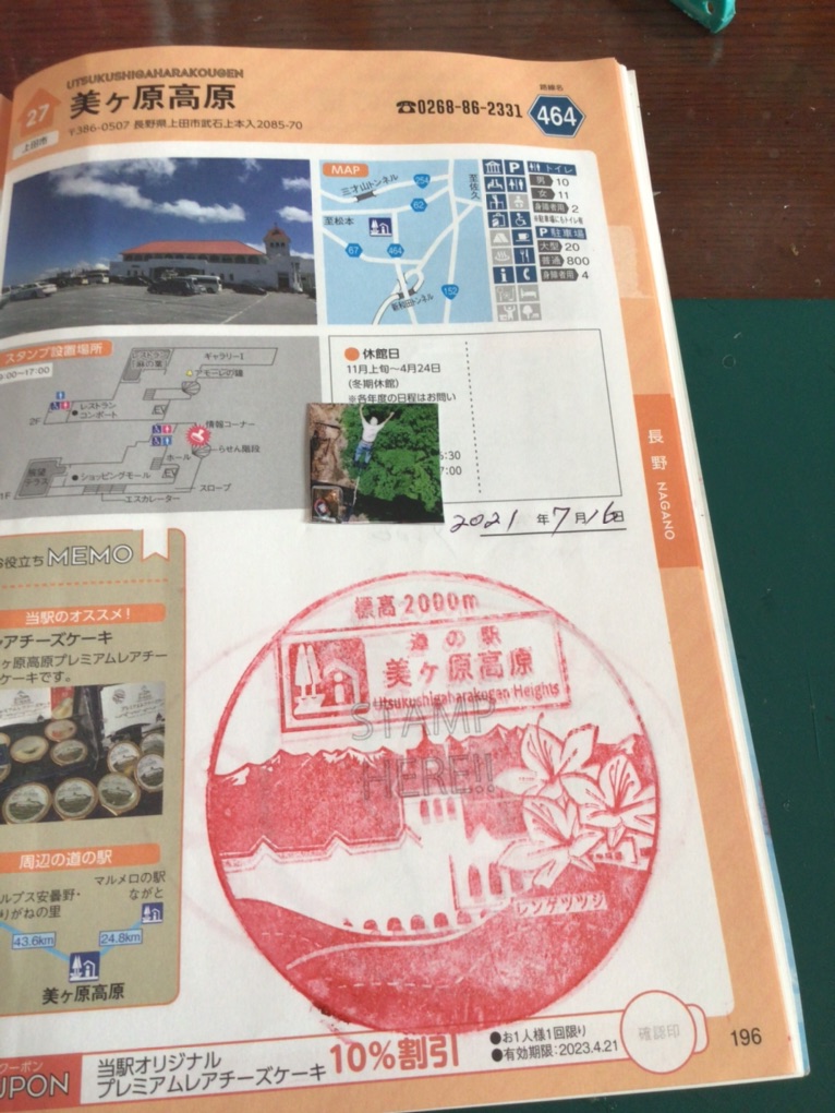 投稿された画像