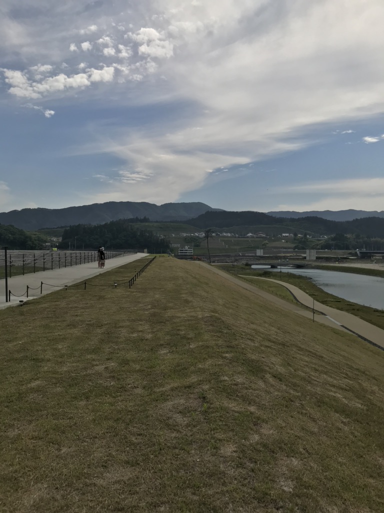 投稿された画像