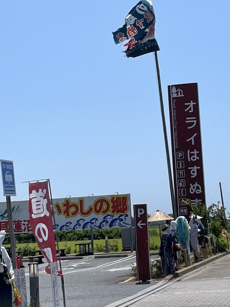 投稿された画像