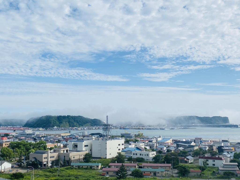 投稿された画像
