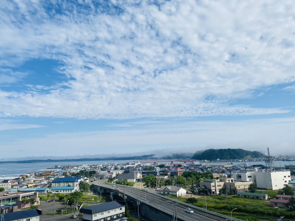 投稿された画像