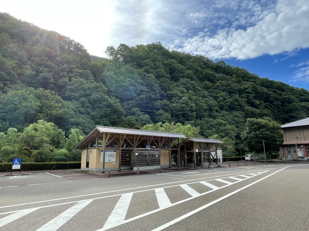 投稿された画像