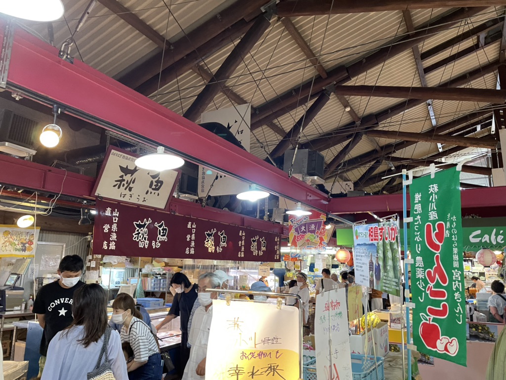 投稿された画像