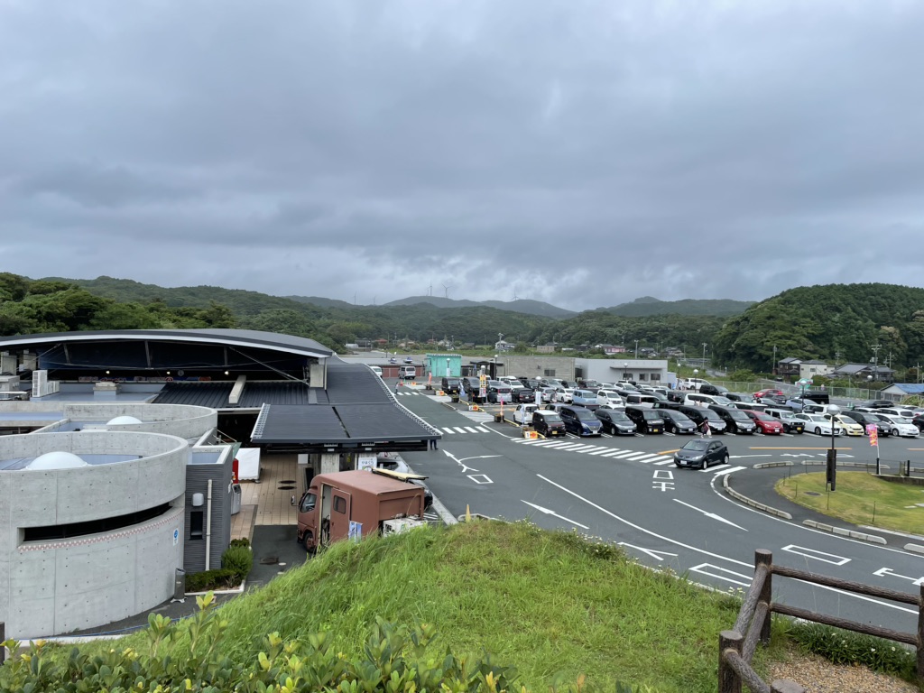 投稿された画像