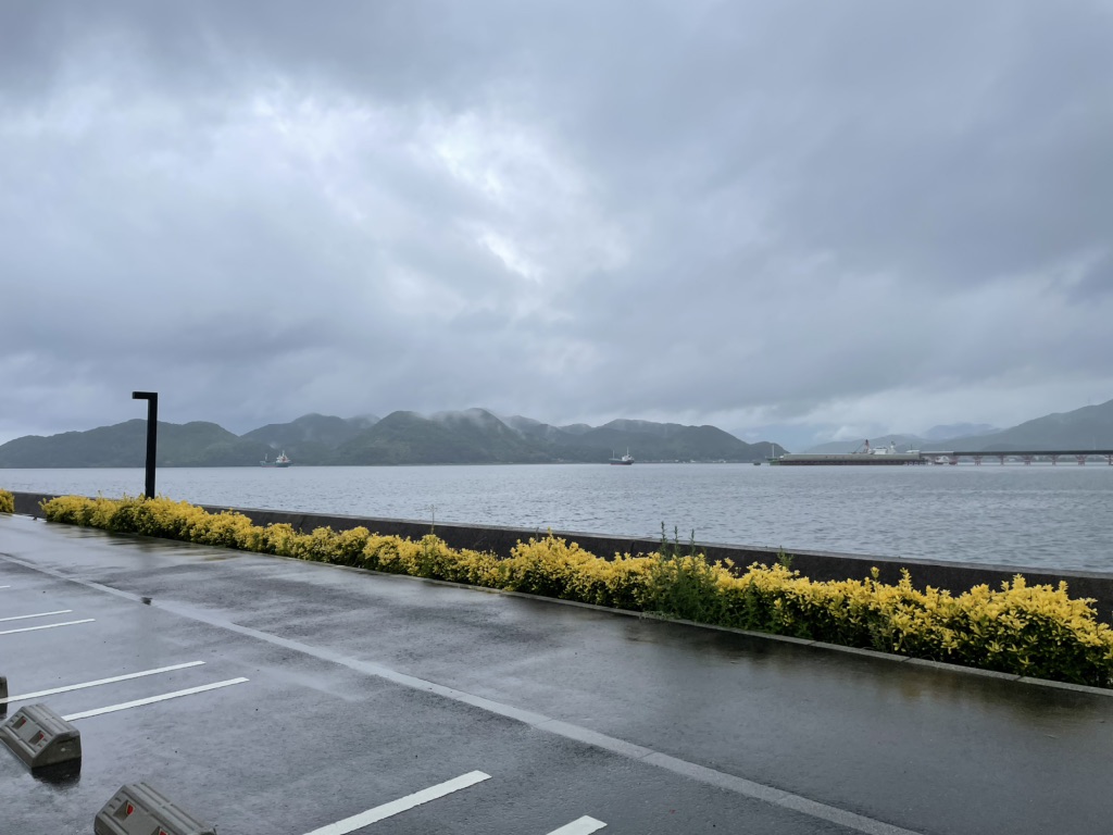 投稿された画像