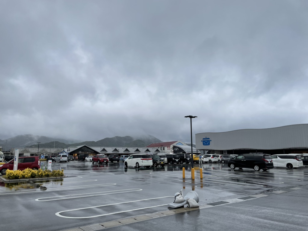 投稿された画像