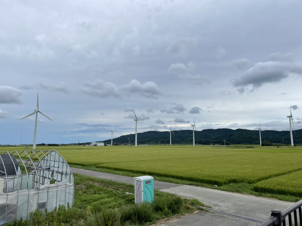 投稿された画像