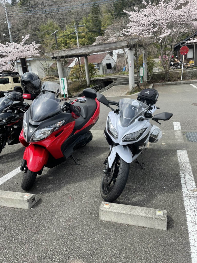 投稿された画像