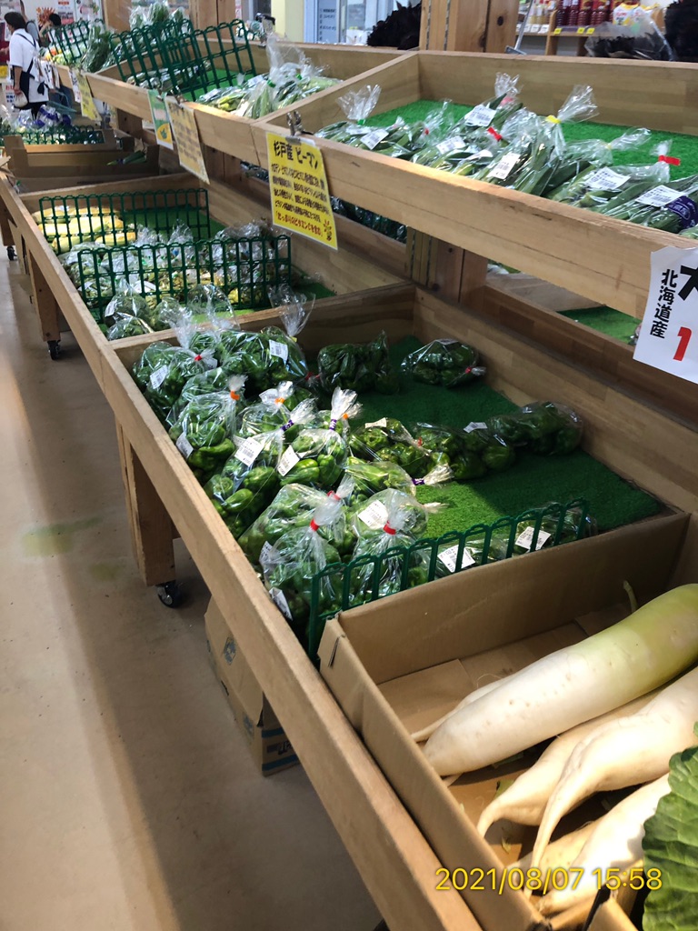 投稿された画像